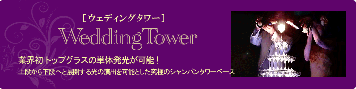 ライトグルーヴ シャンパンタワー 出張サービス ウエディング ブライダルに最適 ライトグルーヴ シャンパンタワー 出張サービス ウエディング ブライダルに最適